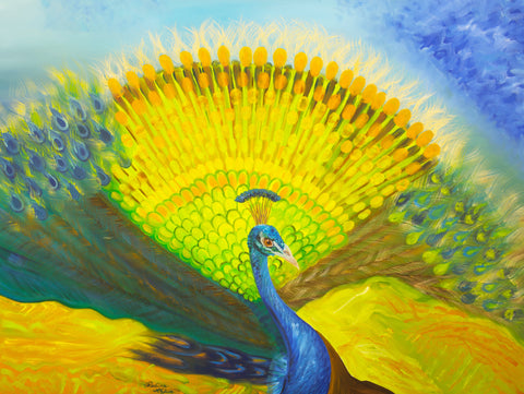 Peacock Splendor Art Prints (Easy choices)